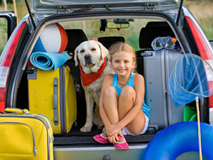 Autofahrt mit Hund